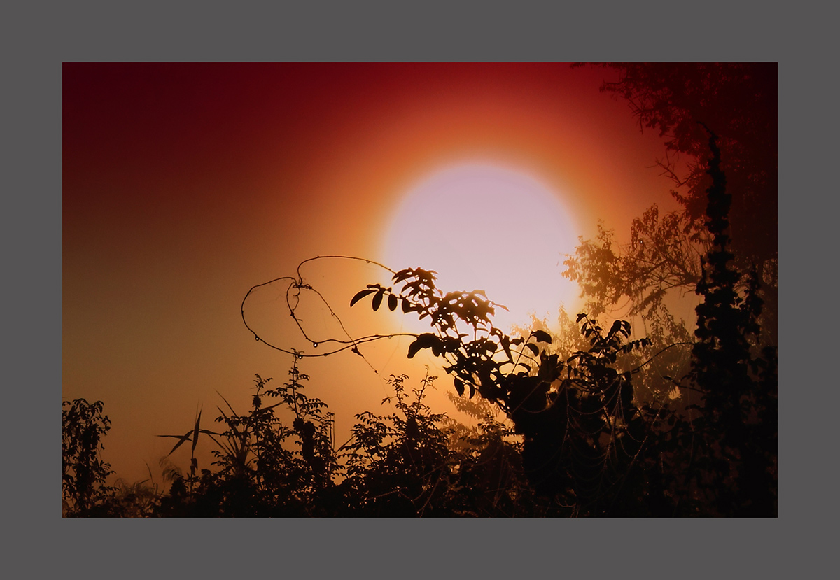 where the sun ...