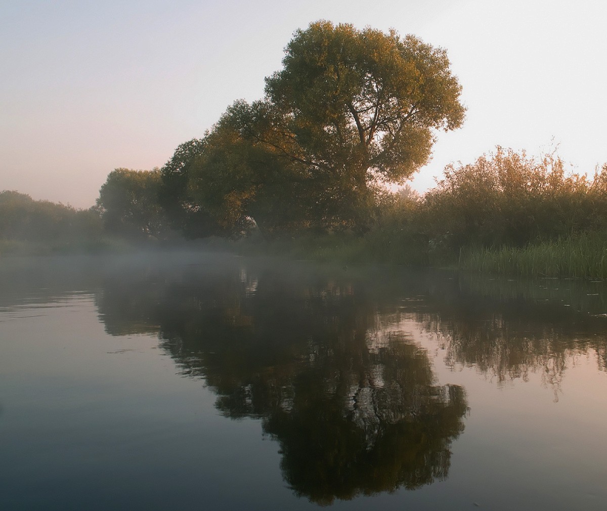 In the misty reflection