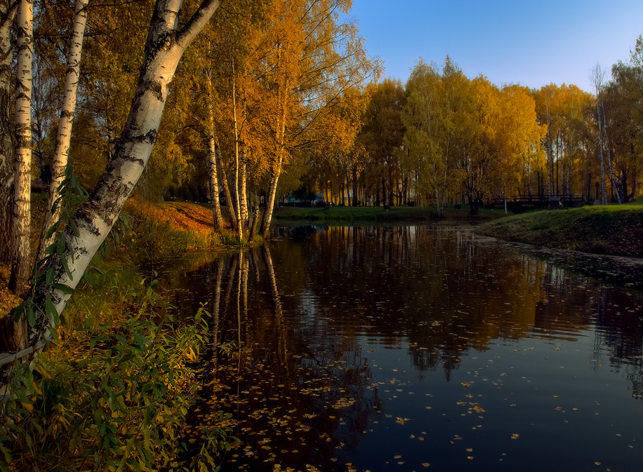 Affectionate Fall
