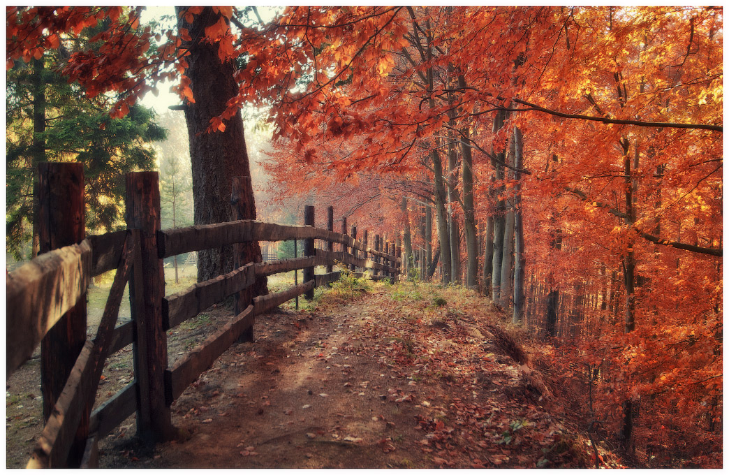 Bound for the fall ...