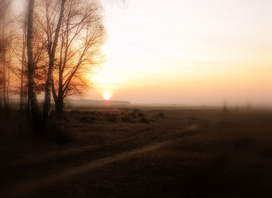 November morning
