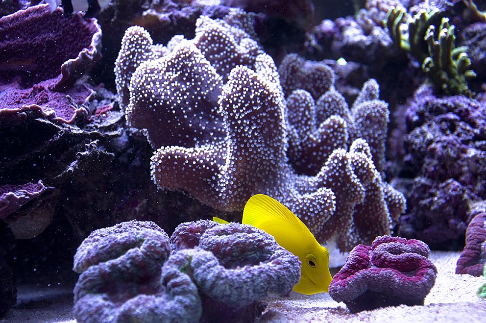 The world under the sea