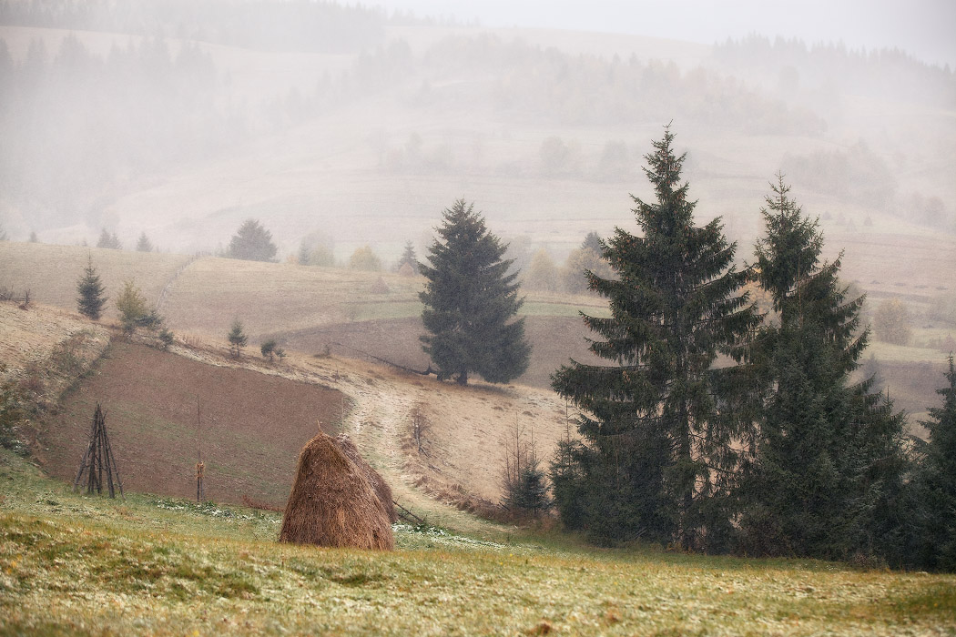 Early snow