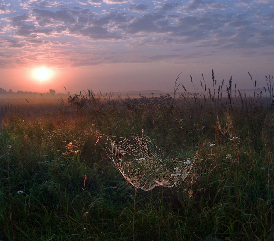 Semkov Meadow