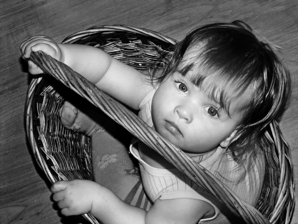 Polly