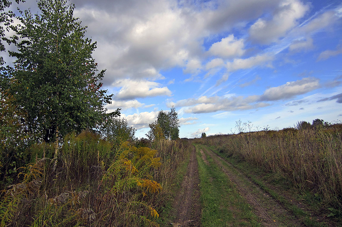 "The sky breathed autumn ..."