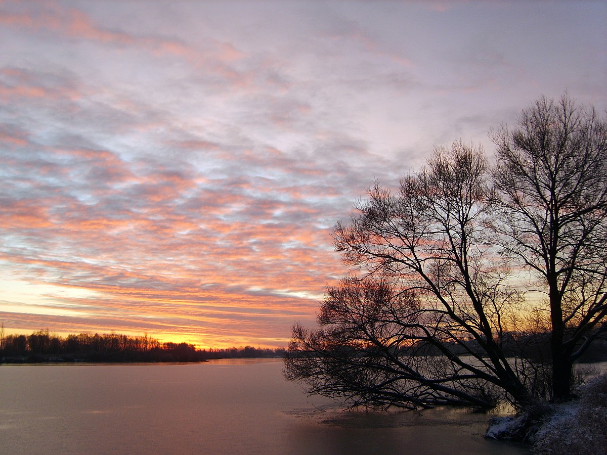 Loneliness winter morning