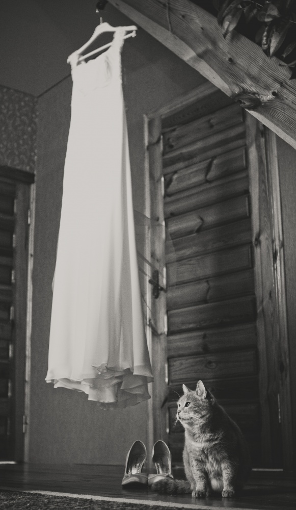 Kote