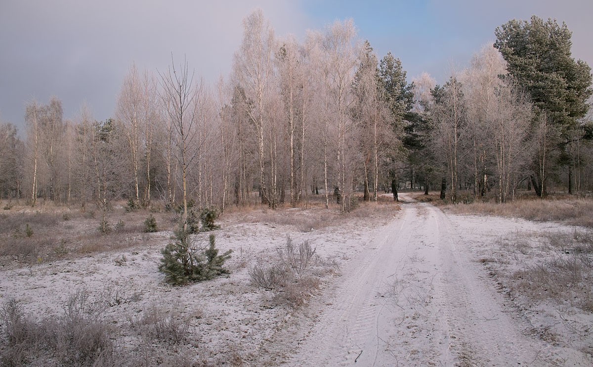 The January