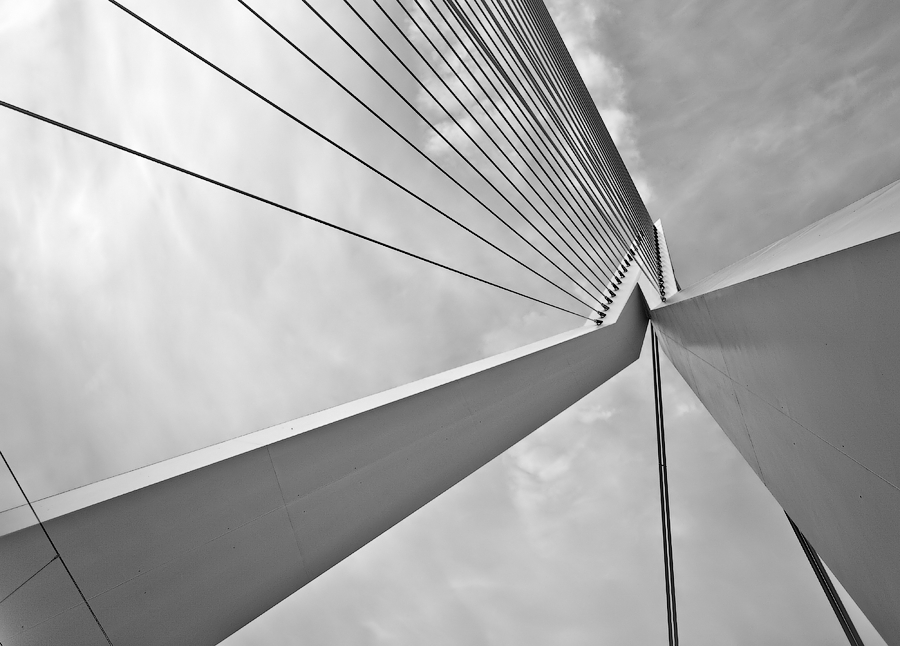 Erasmus Bridge