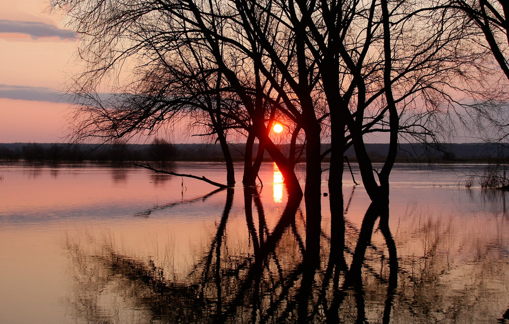 affluent Dawn