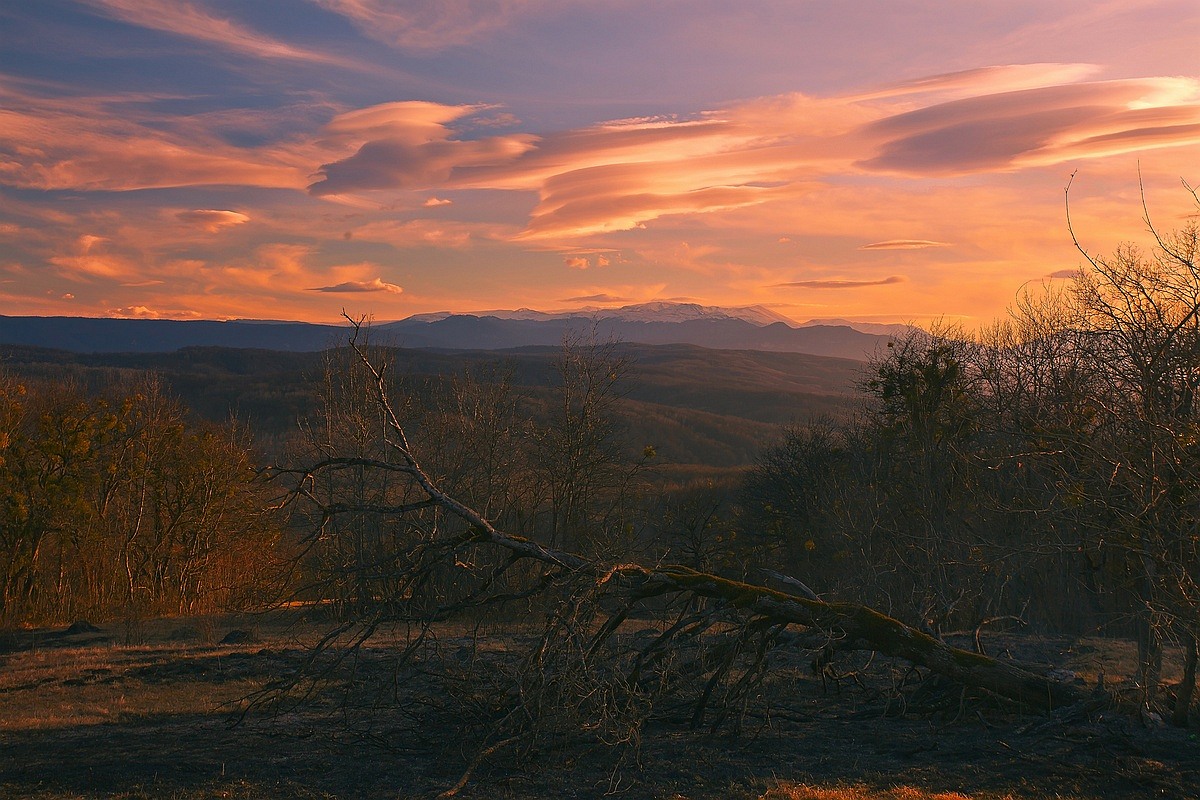 Last Light of the year ...
