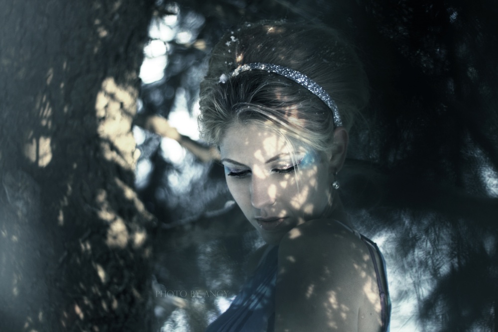 shy winter
