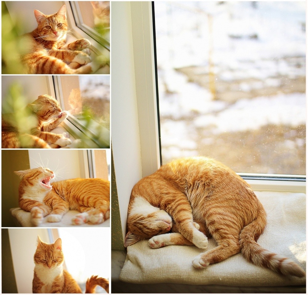 Sleepy