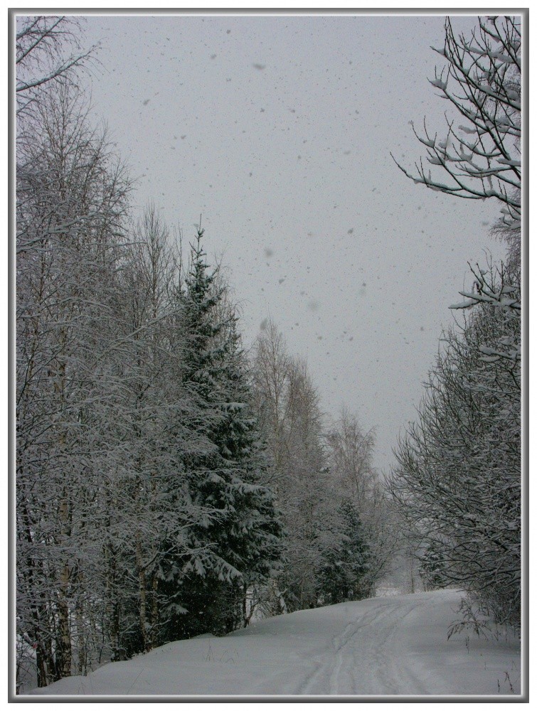 The last snowfall of winter.