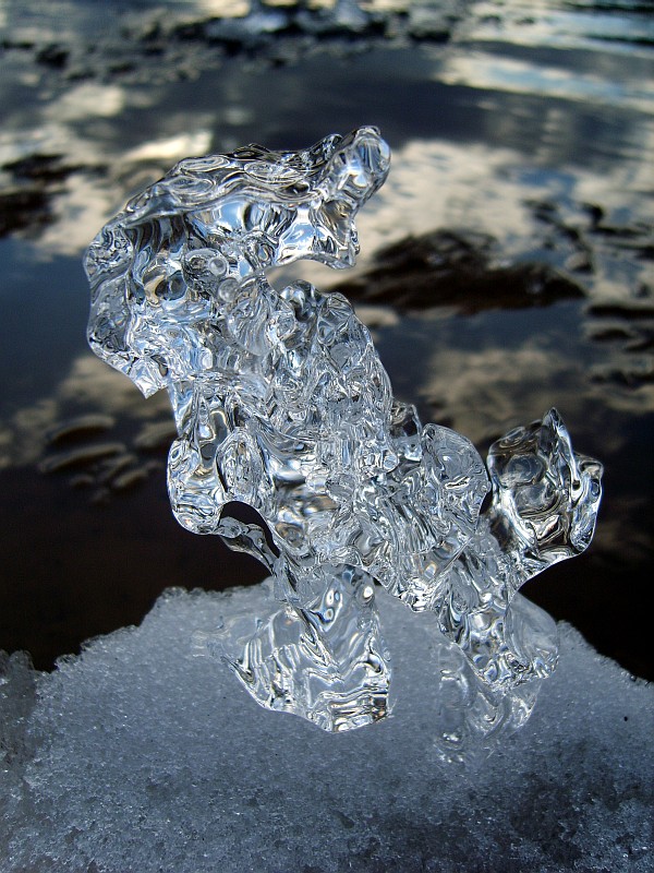 The March Hare