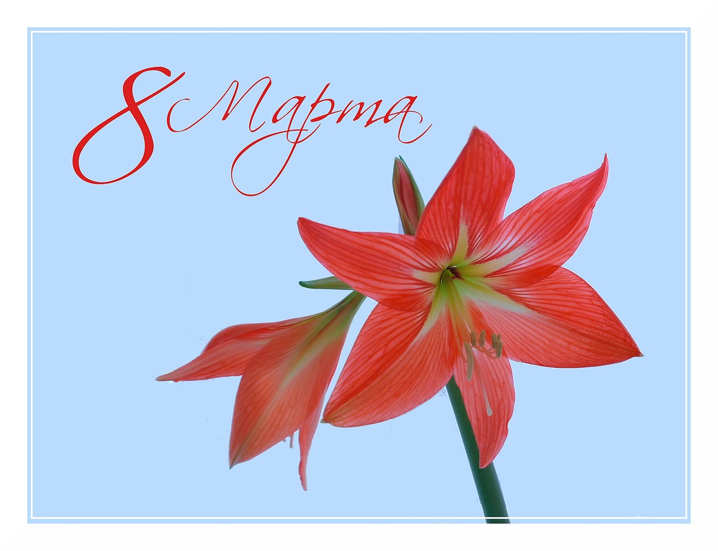 Happy Spring - 2012