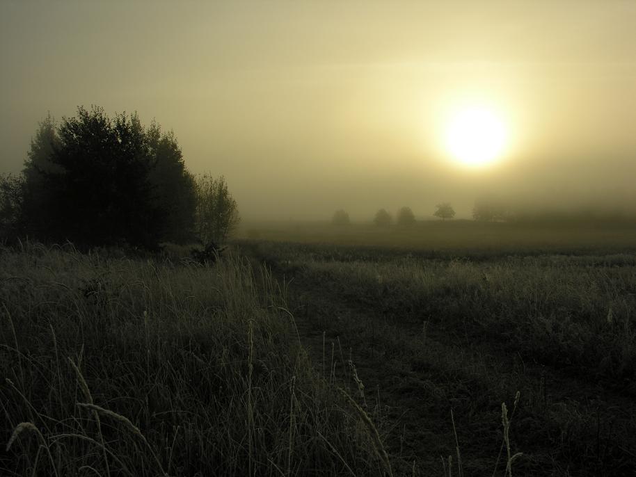 misty morning
