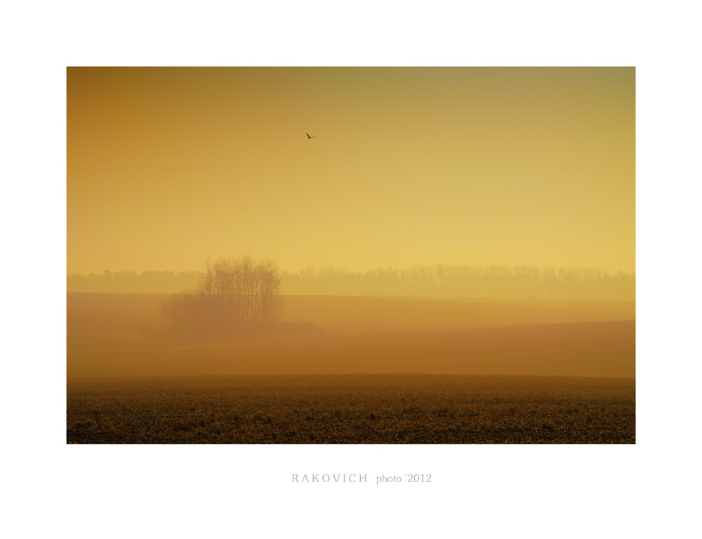 Orange Mist ...