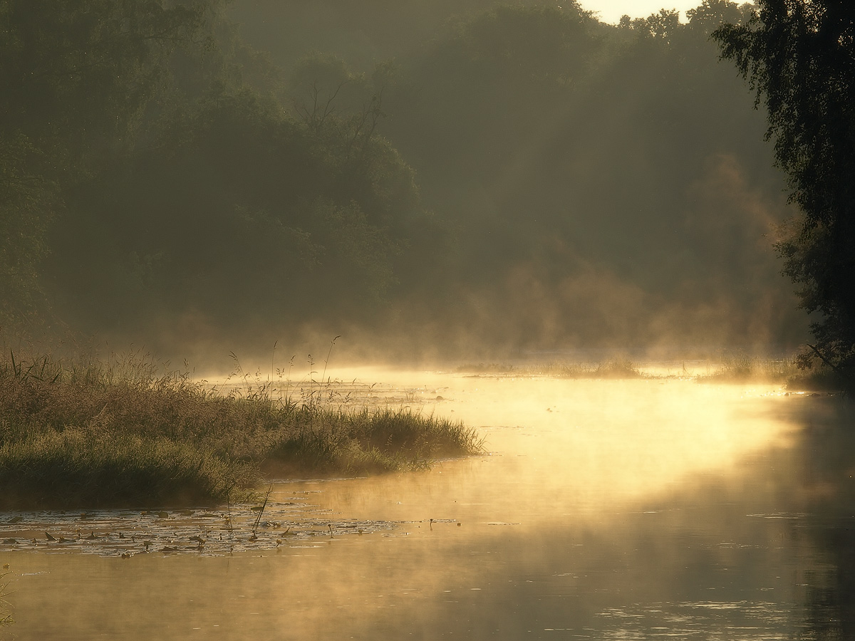 Awakening