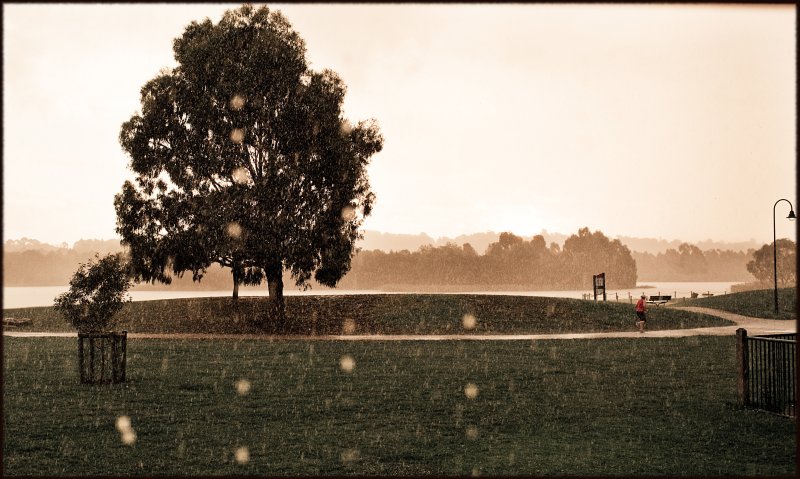 the rain