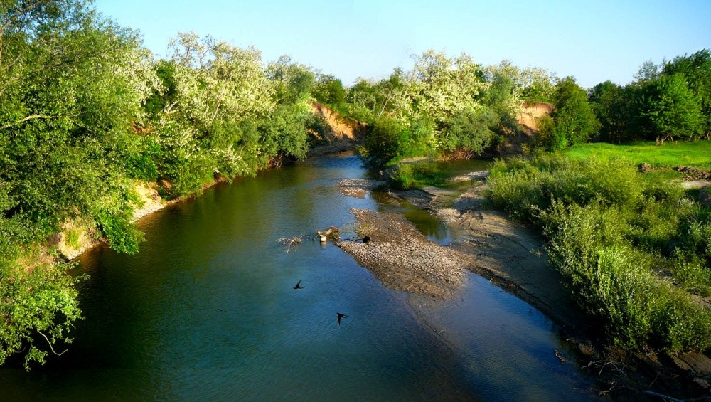 Acacia scented shores