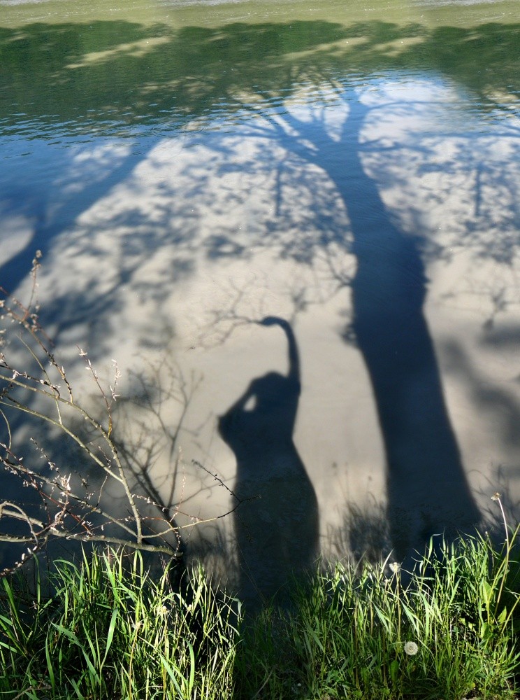 I will be your branch