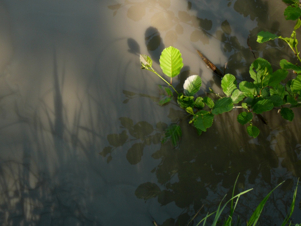 Onalozhenii shadow reflection