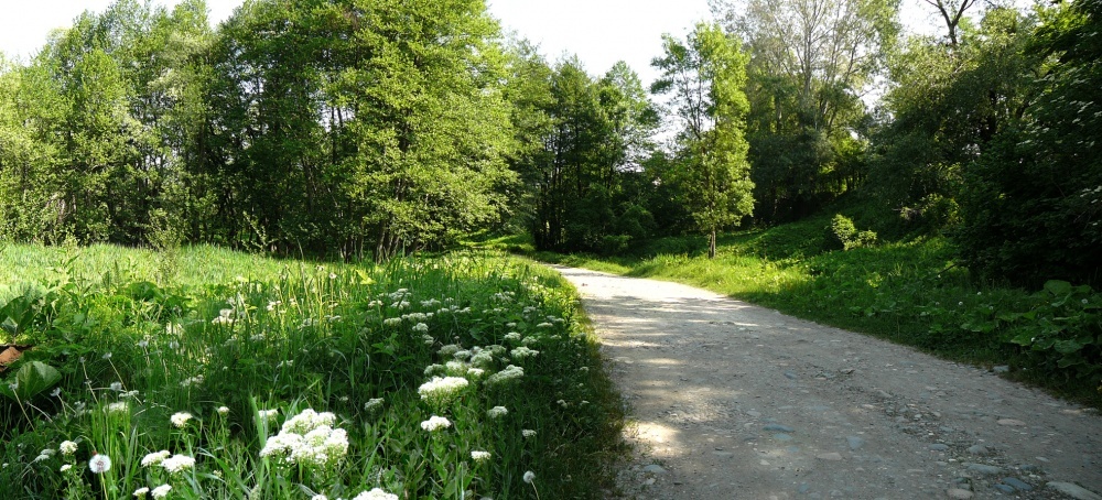 Along the riverside roads