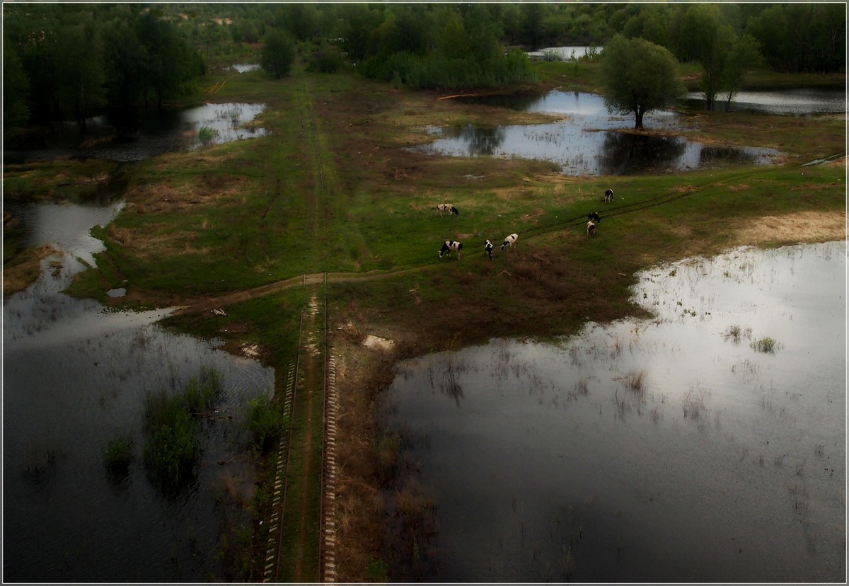 Birds Eye View