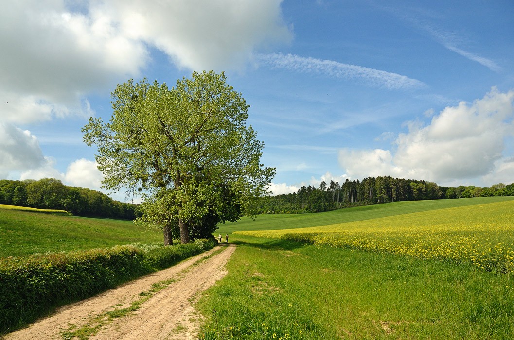 May Day