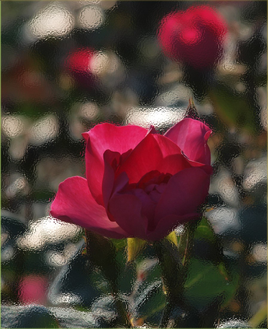 Backlit