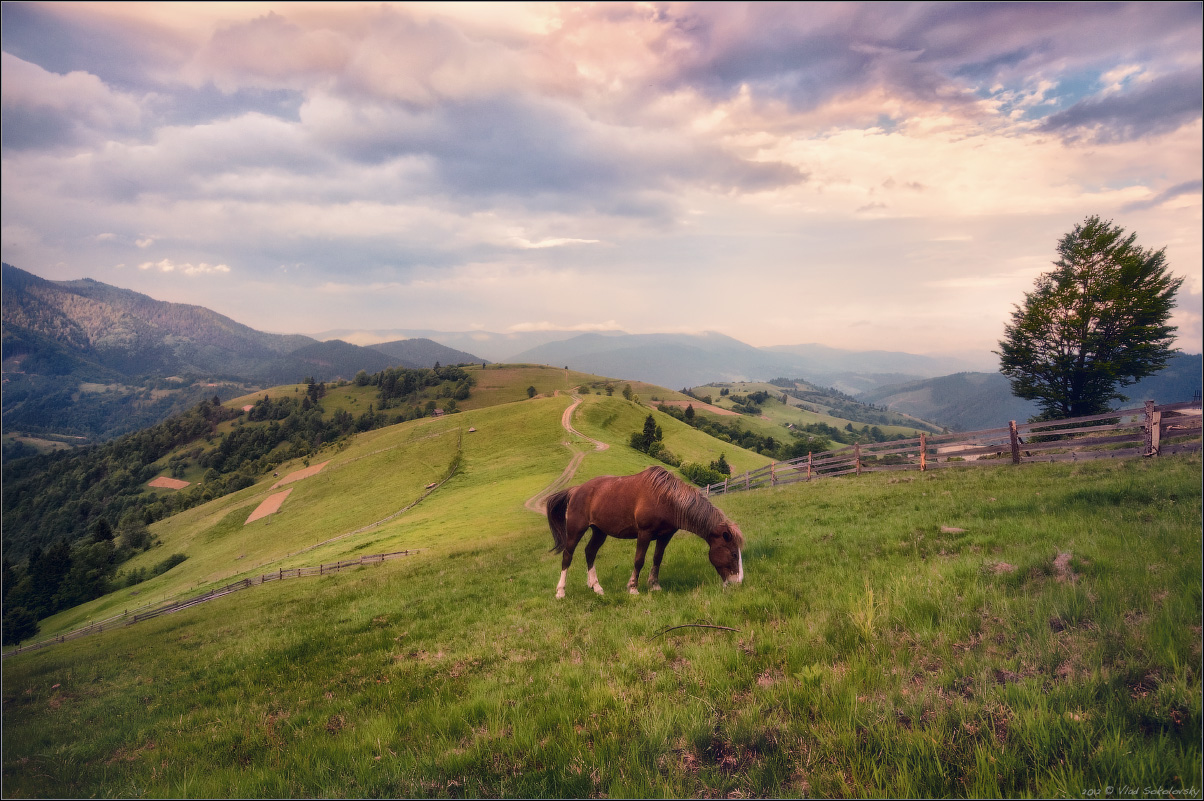 / In the vastness of the Carpathians /