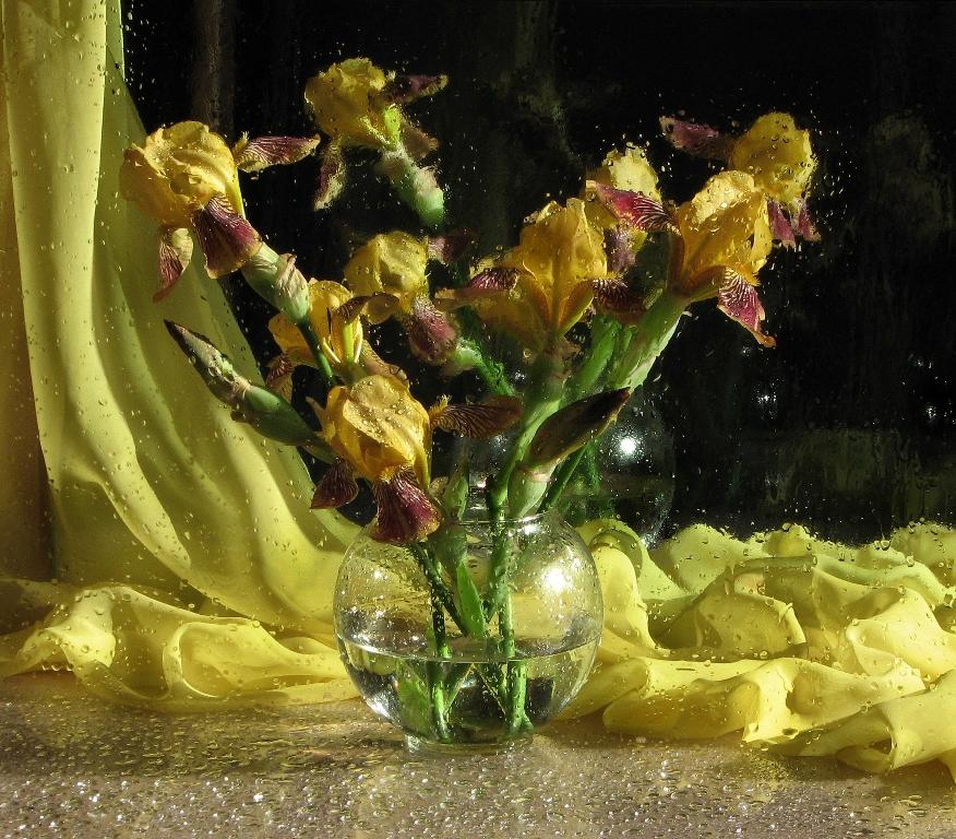 Irises
