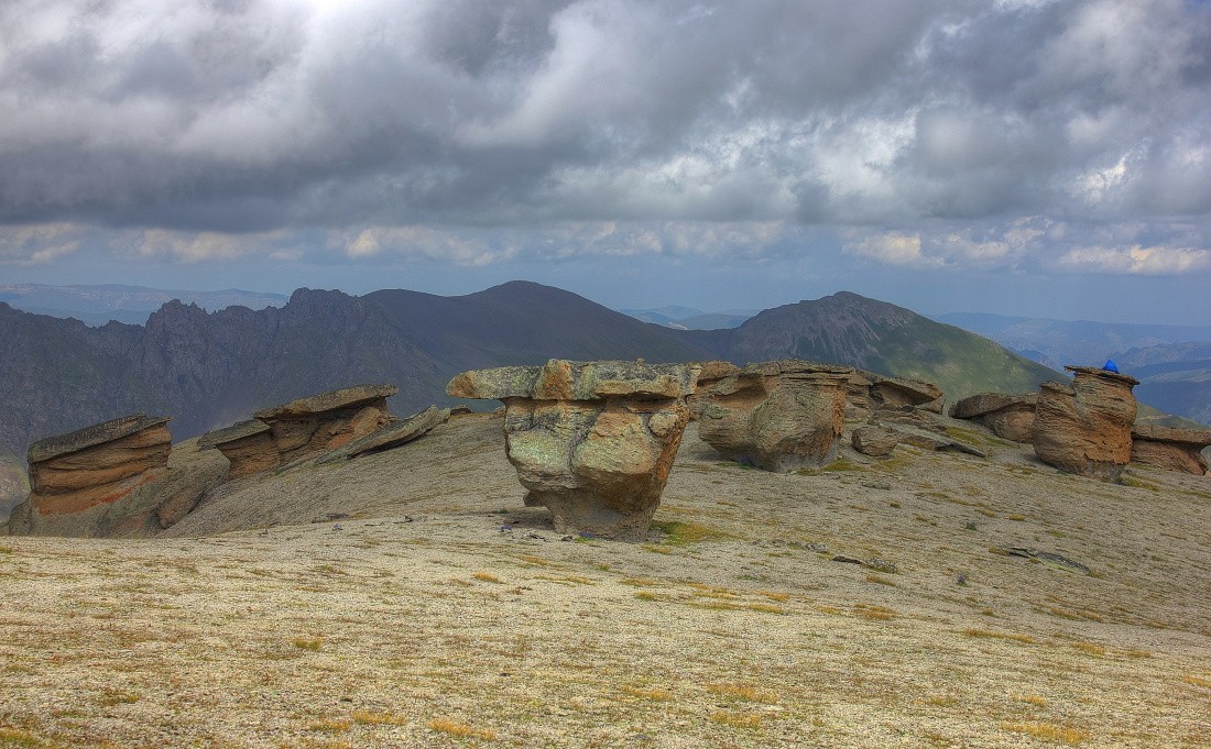 The stone mushrooms