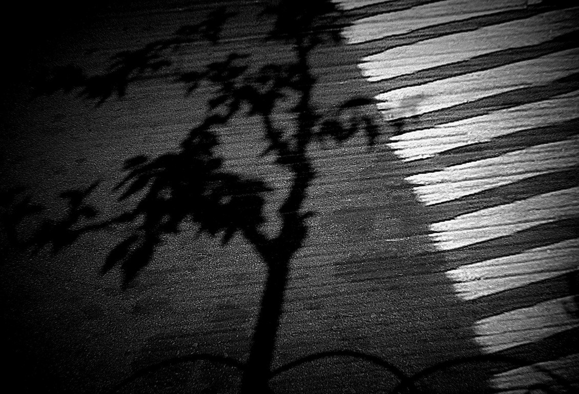 Black and white or fragments