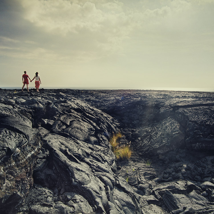 Landscape Relationships