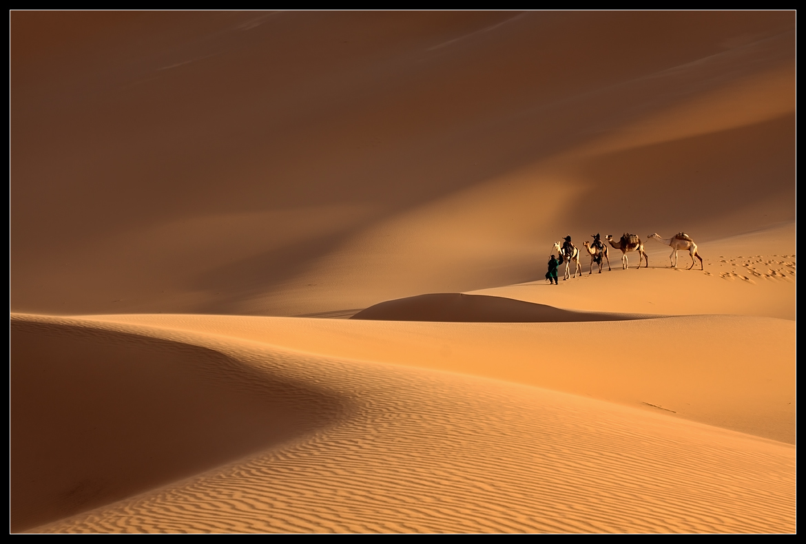 Caravan of the Sahara ....