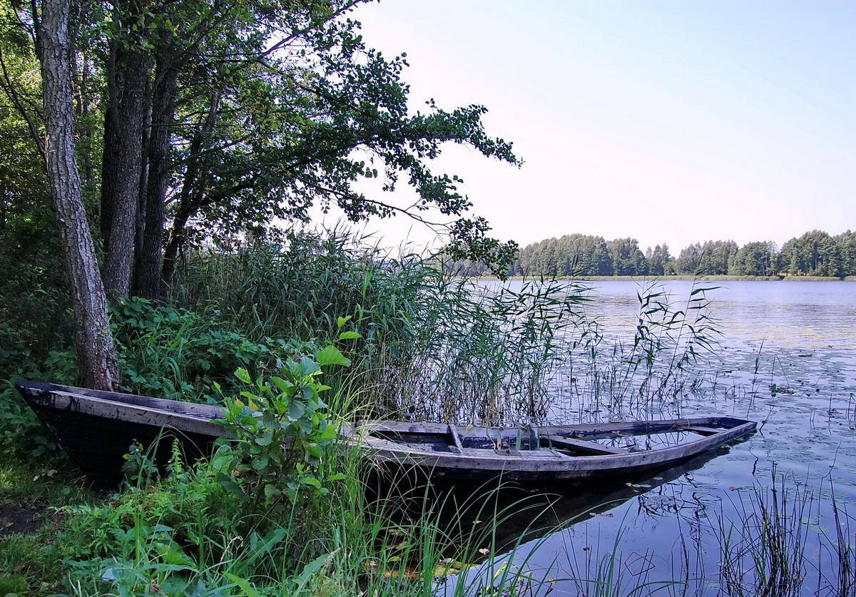 Sunk Boat