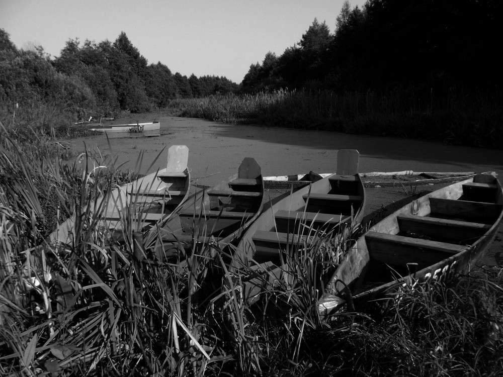 backwater