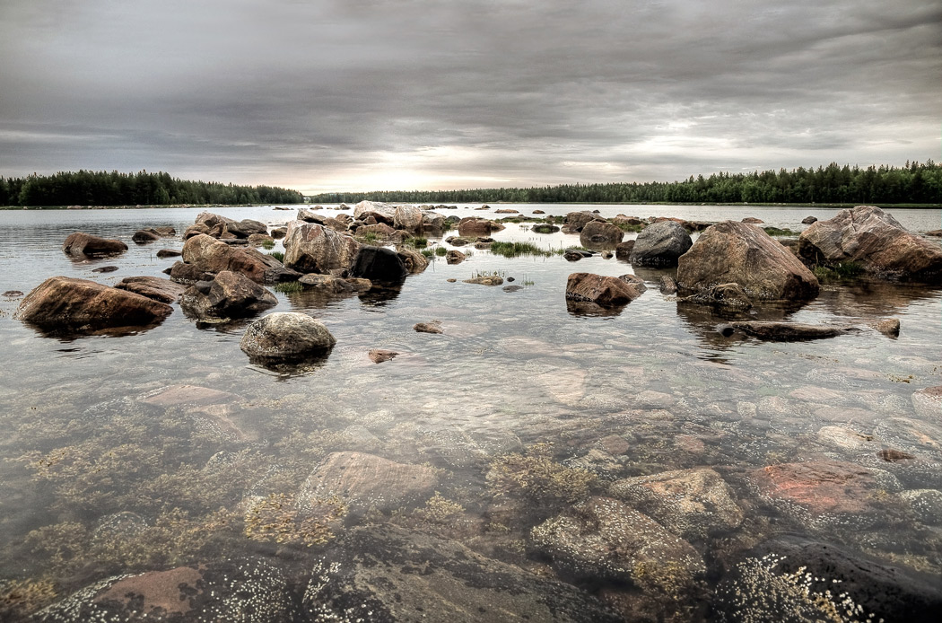 northern summer