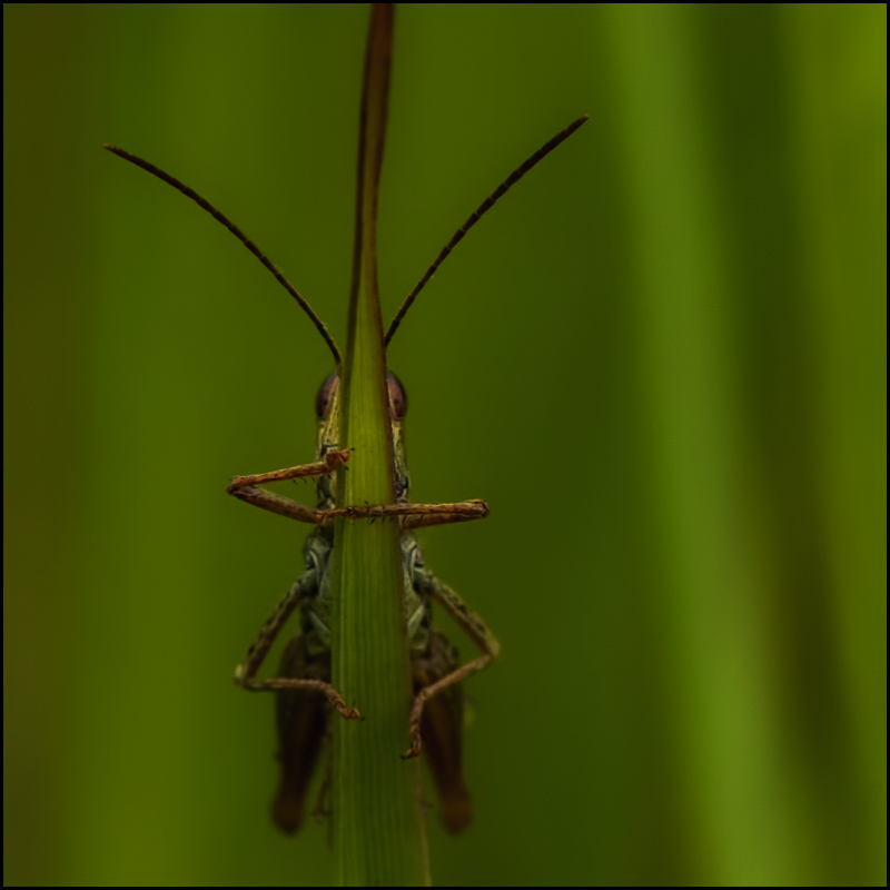 eye to eye 2 :)