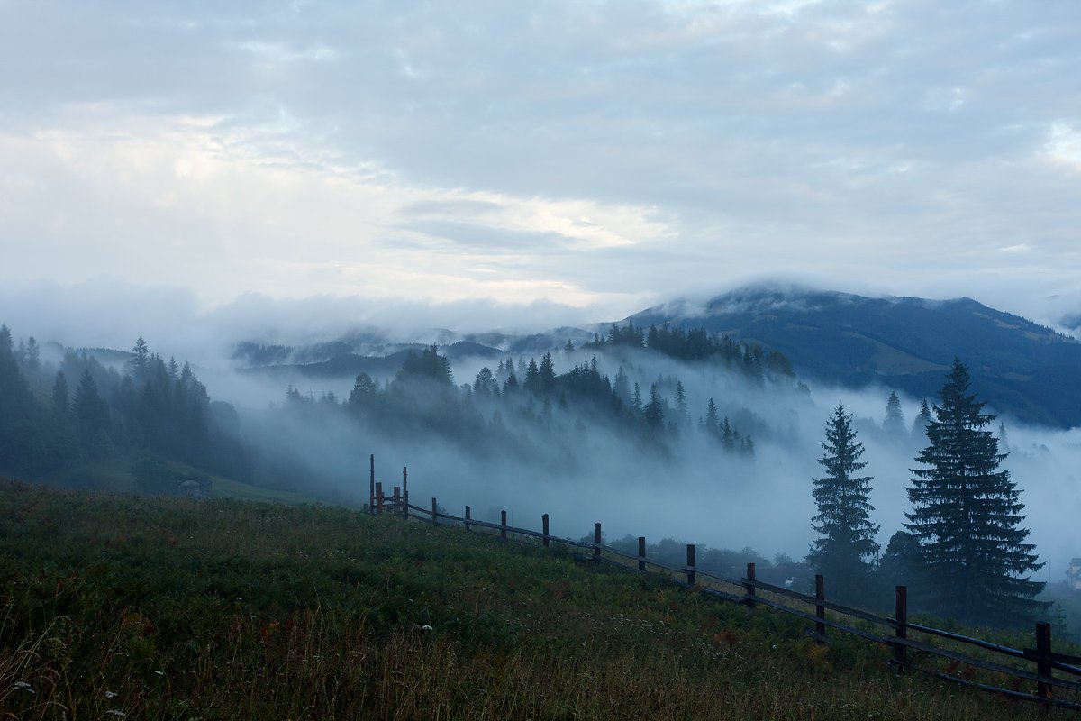 Evening fog