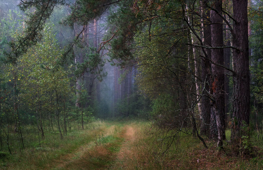 Early in the morning