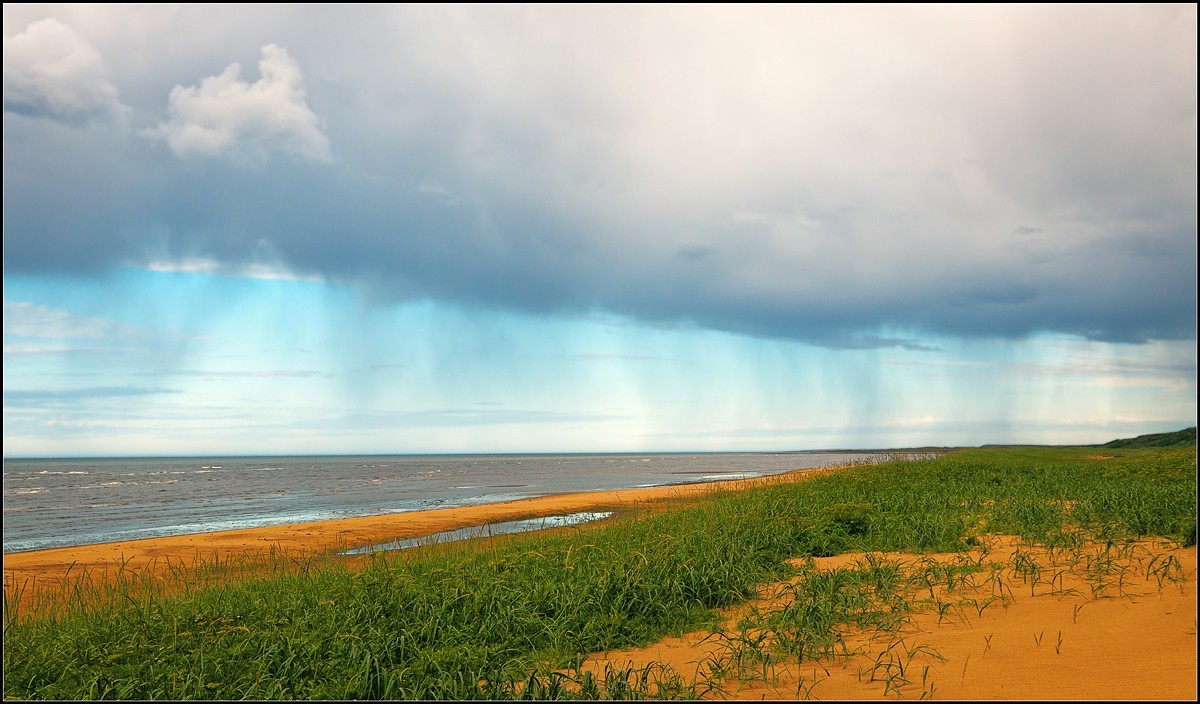 approach of rain ...