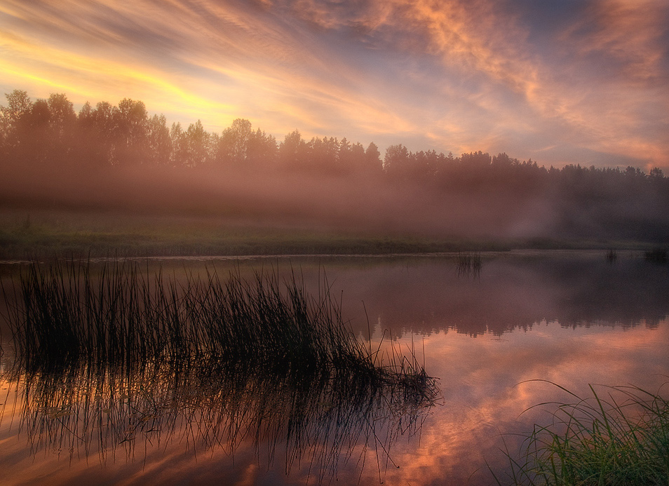 Pink mist