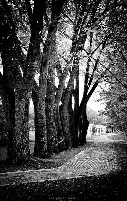 Sketches of the walks ...