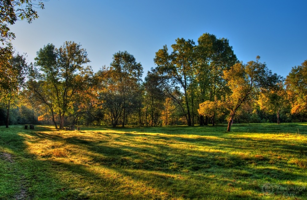 The first rays