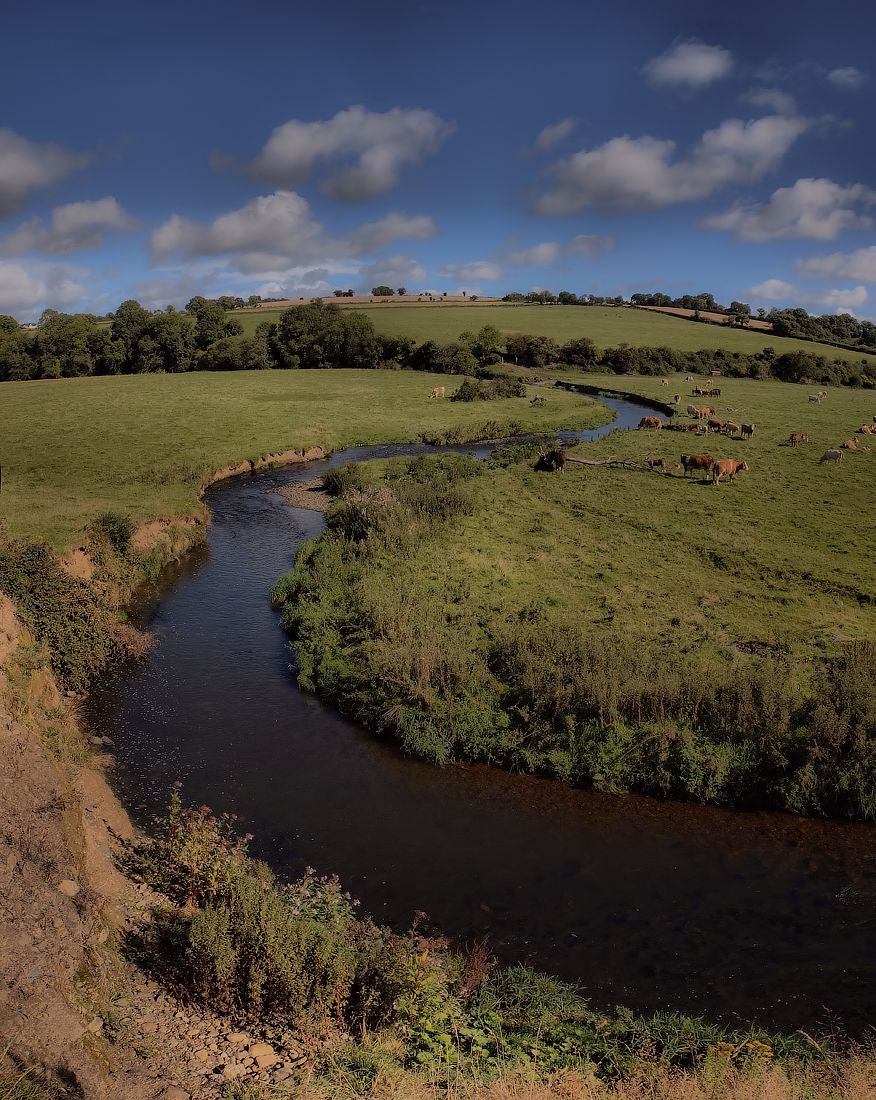 The bed of a fad ... 2 ...