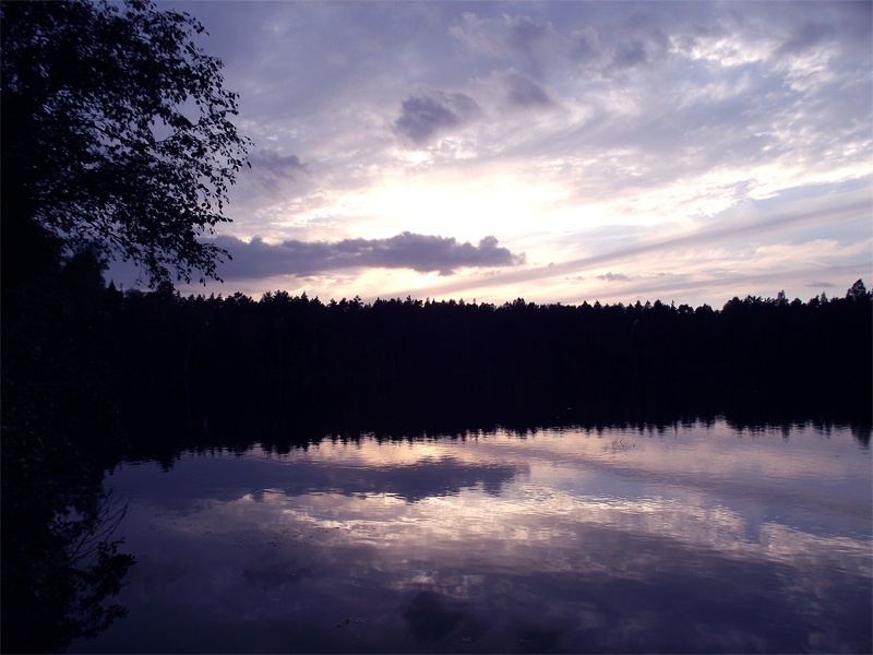 SERENEVY SUNSET